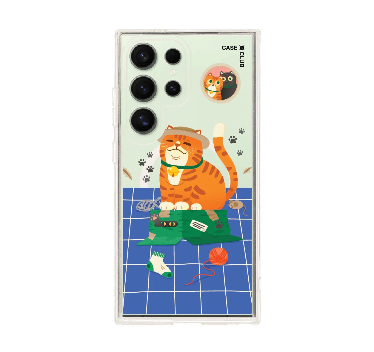 แมวหมวกฟางนักผจญภัย